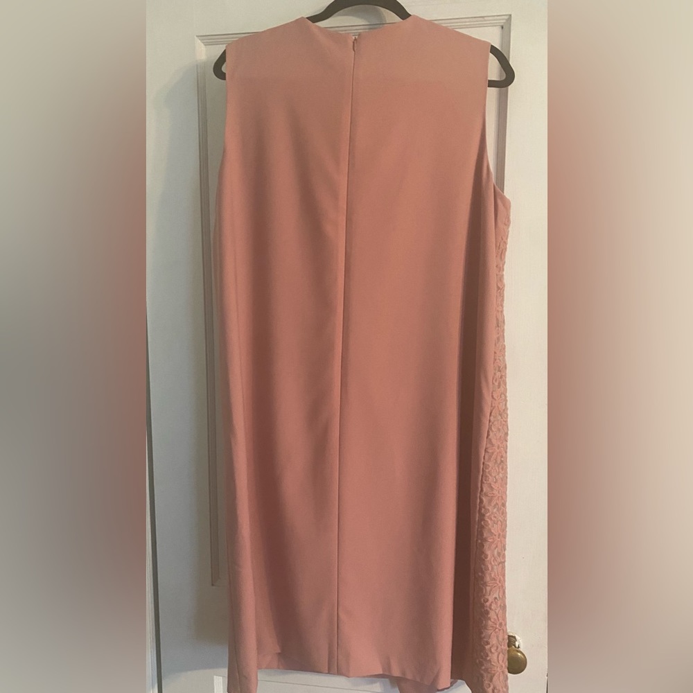 Anne Klein Embroidered Overlay
Shift Dress Women’s 16
Petal Pink - Picture 4 of 14